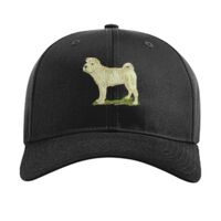 Pro Twill Snapback Thumbnail