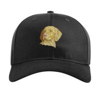 Pro Twill Snapback Thumbnail