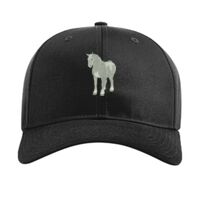 Pro Twill Snapback Thumbnail