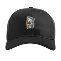 Pro Twill Snapback Thumbnail