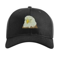 Pro Twill Snapback Thumbnail