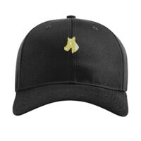 Pro Twill Snapback Thumbnail