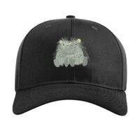 Pro Twill Snapback Thumbnail