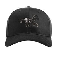 Pro Twill Snapback Thumbnail