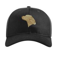 Pro Twill Snapback Thumbnail