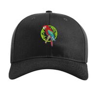 Pro Twill Snapback Thumbnail