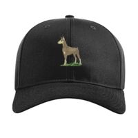 Pro Twill Snapback Thumbnail