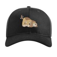 Pro Twill Snapback Thumbnail