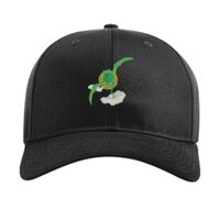 Pro Twill Snapback Thumbnail