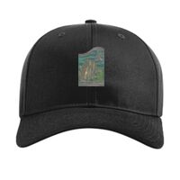 Pro Twill Snapback Thumbnail