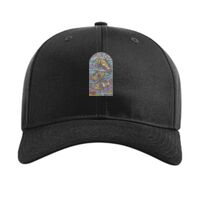 Pro Twill Snapback Thumbnail