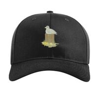 Pro Twill Snapback Thumbnail