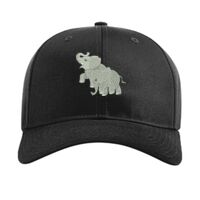 Pro Twill Snapback Thumbnail