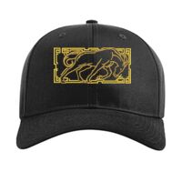 Pro Twill Snapback Thumbnail