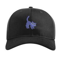 Pro Twill Snapback Thumbnail