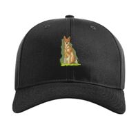 Pro Twill Snapback Thumbnail