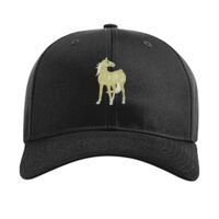 Pro Twill Snapback Thumbnail