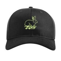 Pro Twill Snapback Thumbnail