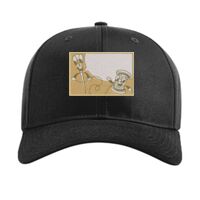 Pro Twill Snapback Thumbnail