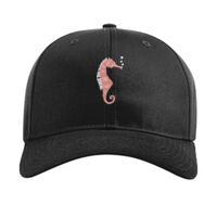 Pro Twill Snapback Thumbnail