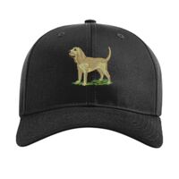 Pro Twill Snapback Thumbnail