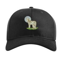 Pro Twill Snapback Thumbnail