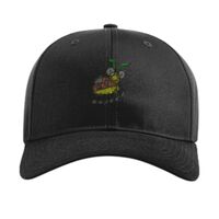 Pro Twill Snapback Thumbnail
