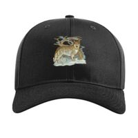 Pro Twill Snapback Thumbnail