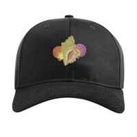 Pro Twill Snapback Thumbnail