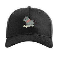 Pro Twill Snapback Thumbnail