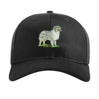 Pro Twill Snapback Thumbnail