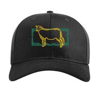 Pro Twill Snapback Thumbnail