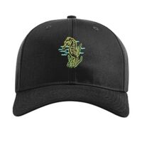 Pro Twill Snapback Thumbnail