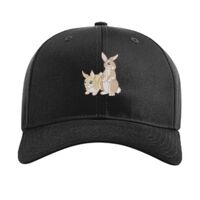 Pro Twill Snapback Thumbnail