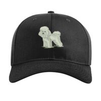 Pro Twill Snapback Thumbnail