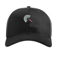 Pro Twill Snapback Thumbnail