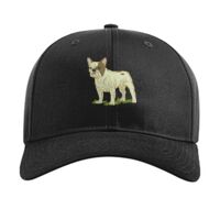 Pro Twill Snapback Thumbnail