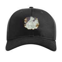 Pro Twill Snapback Thumbnail