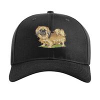 Pro Twill Snapback Thumbnail