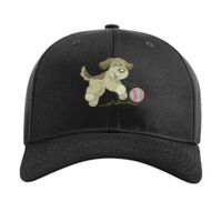 Pro Twill Snapback Thumbnail