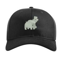 Pro Twill Snapback Thumbnail