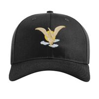 Pro Twill Snapback Thumbnail