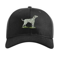 Pro Twill Snapback Thumbnail