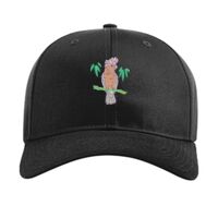 Pro Twill Snapback Thumbnail