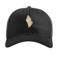 Pro Twill Snapback Thumbnail