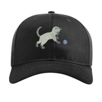 Pro Twill Snapback Thumbnail