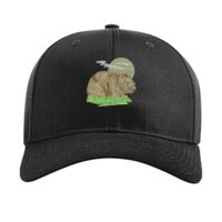 Pro Twill Snapback Thumbnail