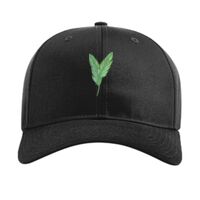 Pro Twill Snapback Thumbnail