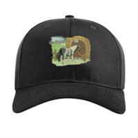 Pro Twill Snapback Thumbnail
