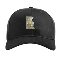 Pro Twill Snapback Thumbnail